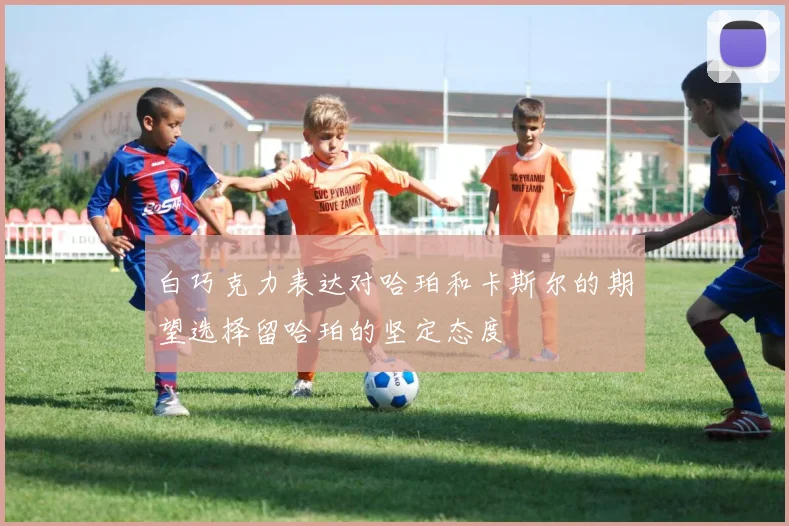 白巧克力表达对哈珀和卡斯尔的期望选择留哈珀的坚定态度